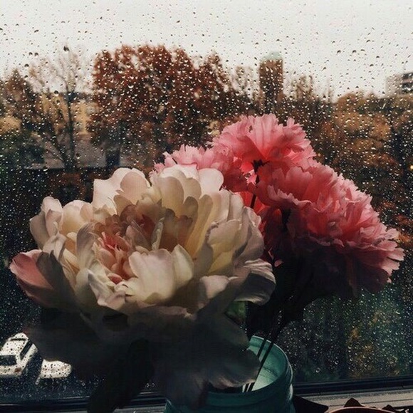 Meet your Posher, Le - Picture 1 of 1